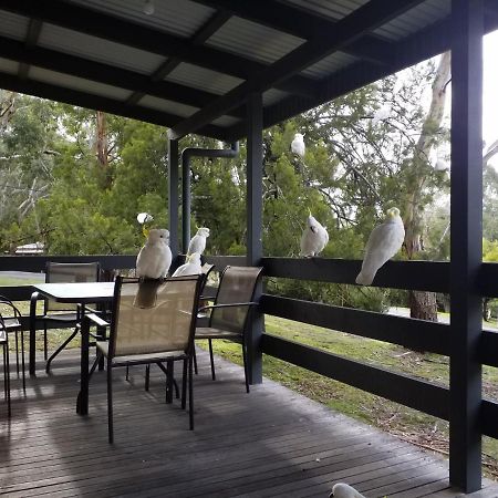 Cockatoo Cabin Halls Gap Exterior foto